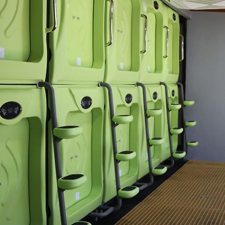 Pupa House - Capsule Hotel - Adults Only Tamarindo Exteriör bild